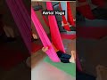 Aerial Yoga #shortsvideo #trending #viral #youtubeshorts #shortsfeed #shortsviral  #fitnessmantra
