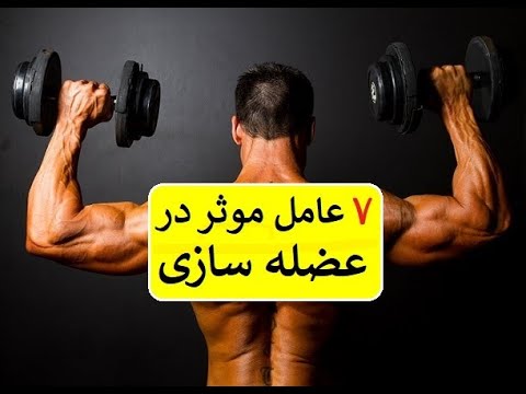 هفت عامل موثر در عضله سازی: دکتر اباذر حبیبی نیا