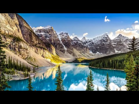 Видео: ПРАВИТЕЛЬСТВО КАНАДЫ ПРИГЛАШАЕТ НА РАБОТУ: Alberta Express Entry Stream