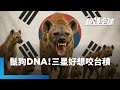 輝達與台積電競爭