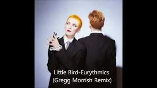 Watch Eurythmics Little Bird video