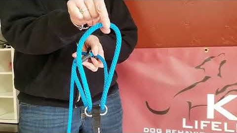 Quick tip: Putting on the K9 Lifeline Transitional Leash
