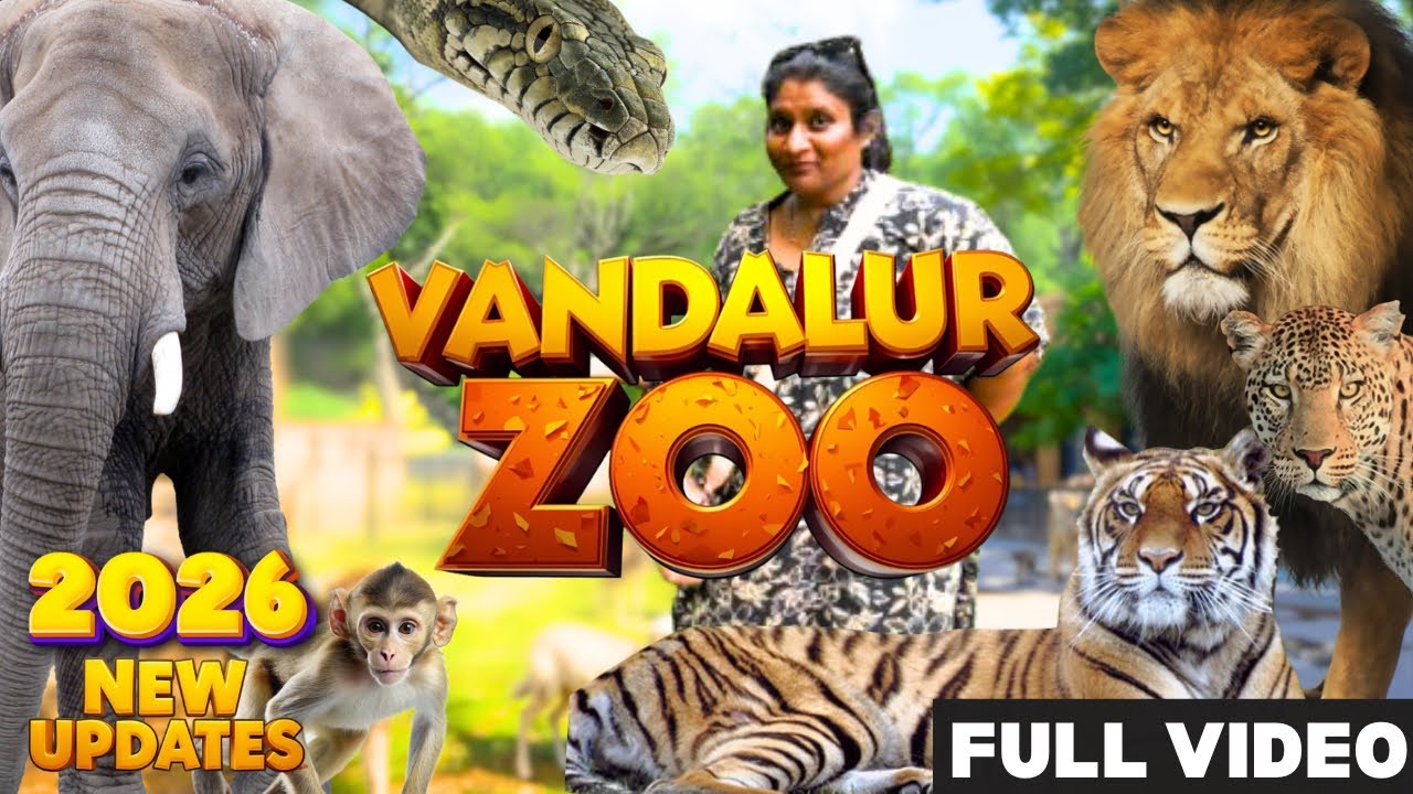 Vandalur Zoo Chennai | Arignar Anna Zoological Park | Ticket Price 2026 | Latest Details Tamil