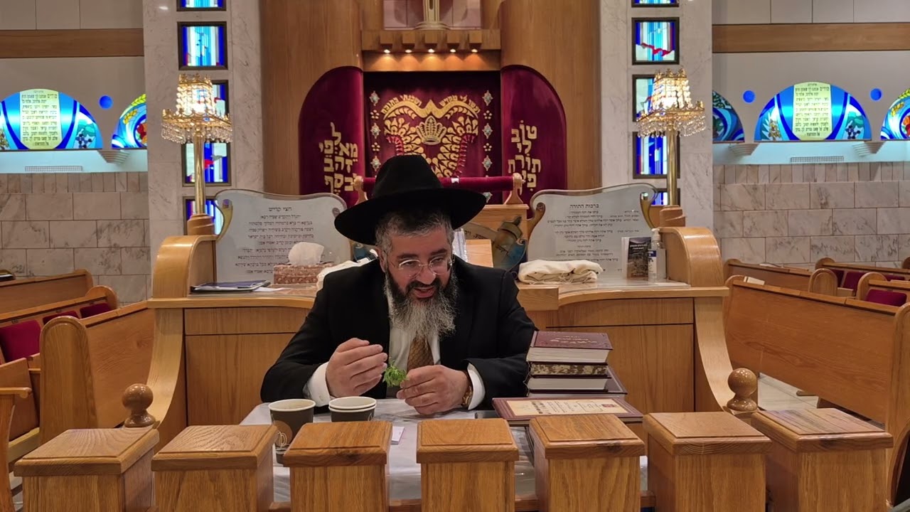 Uploads from הרב אורן צדוק