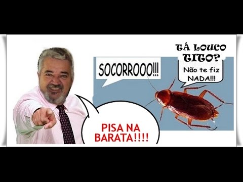 pisa na barata pega a borboleta