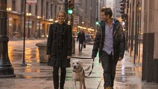 Имущество с хвостом / Who Gets the Dog? (2016) Дублированный трейлер HD Имущество с хвостом / Who Gets the Dog? (2016) Дублированный трейлер HD