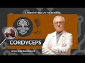 Funghi Medicinali - Cordyceps