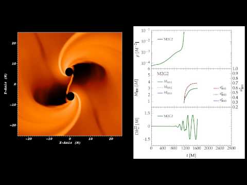 Formation and Coalescence of Supermassive Black Hole Binaries in Supermassive Star Collapse