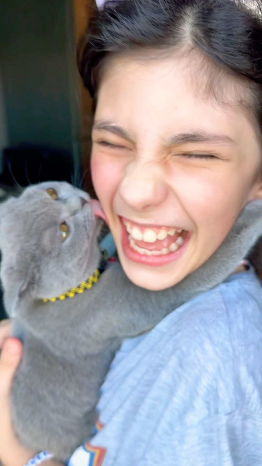 Süper ❤️?‍⬛ #cats #cat