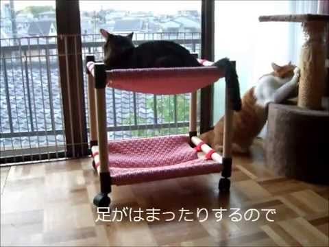 24 ハンモック 猫ベッド Youtube