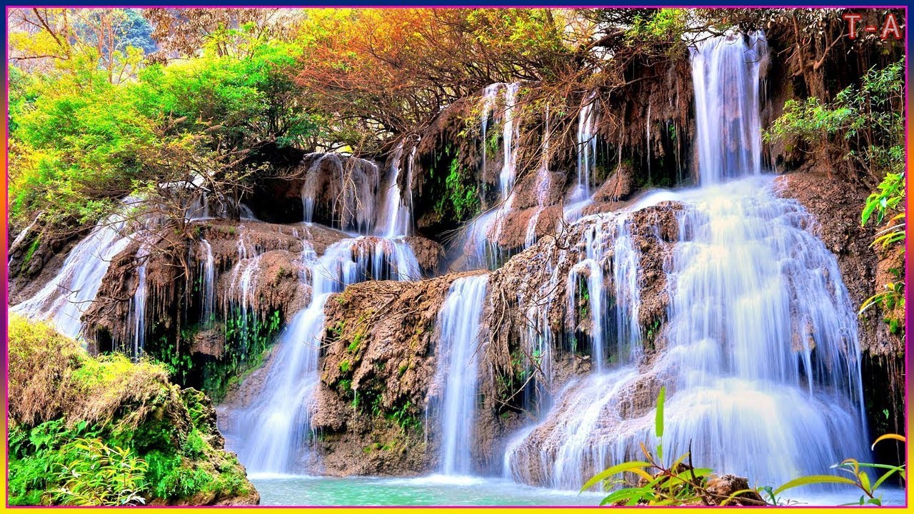 穏やかで心安らぐ クラシック音楽 睡眠用ピアノbgm リラックス 音楽 Youtube