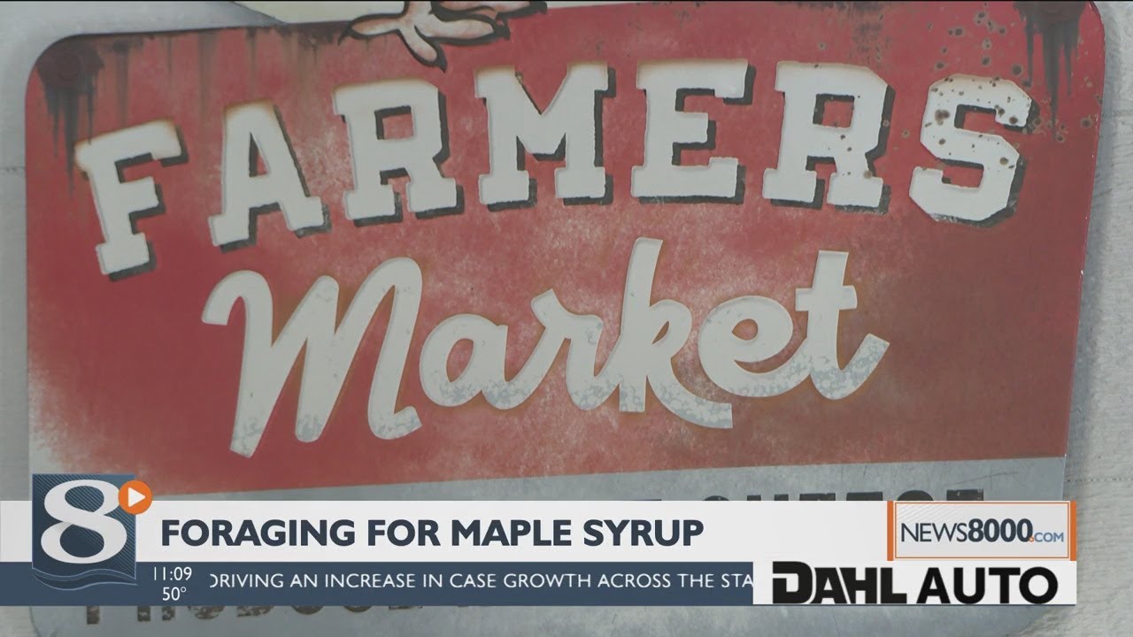 Tapping into fresh Maple