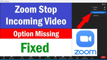 Stop Incoming Video in Zoom | How To Turn Off Incoming Video Zoom | Zoom Stop Incoming Video Missing