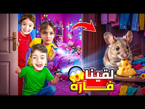 لقينا فاره عنا بلبيت شوفو شلون مسكناهالولو عملت مقلب مسكت الفار وخبتو معا ‎‏‪⁨@Aalam_Ghazal⁩‬‏