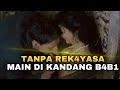 SAUDARA TAPI N1KMAT - ALUR FILM