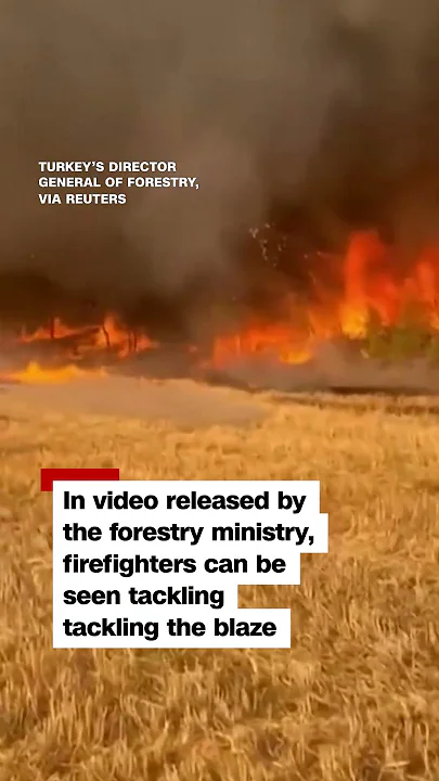 Fire tornado rips through Turkish forest