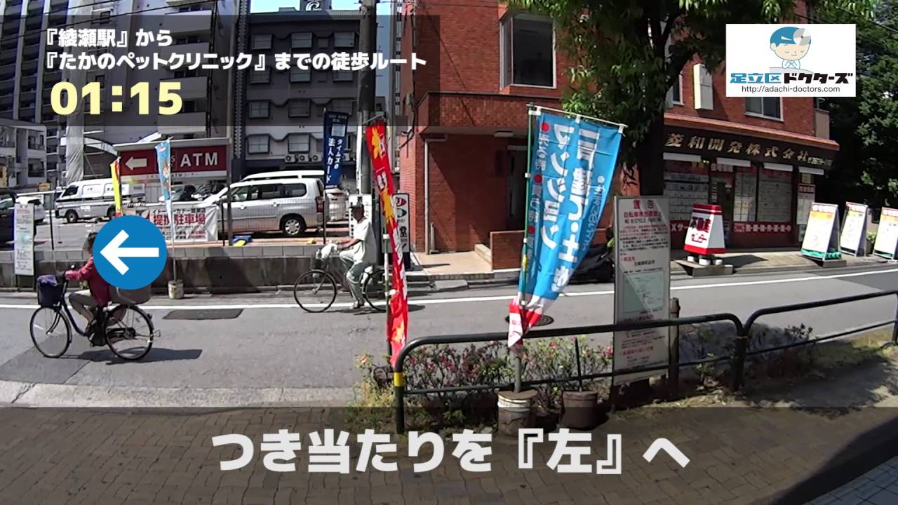 たかのペットクリニックの徒歩ルート 綾瀬駅 動物病院 Youtube