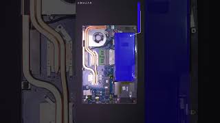 MSI Thin 15 B13UCX 1465ID | Upgrade Options | Shorts