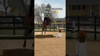 Noodle was SO good for the last jump school before the horse show!