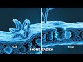 Gene Editing 2