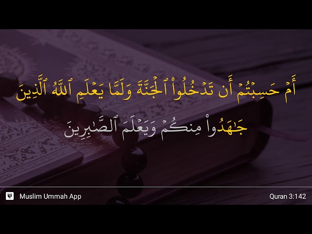 Al-'Imran ayat 142 class=