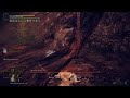 ELDEN RING Boss Fight