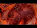End of video