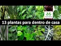 13 PLANTAS PARA DENTRO DE CASA- dicas incríveis!