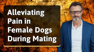 Alleviating Pain in Female Dogs During Mating
