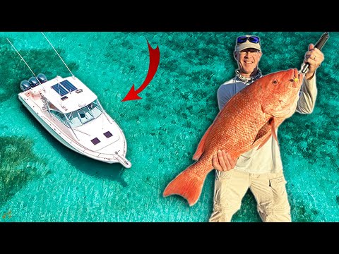 How To Anchor On An Offshore Reef Detailed Steps 