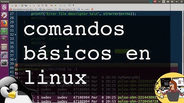 Comandos básicos en linux, el terminal y el command prompt.