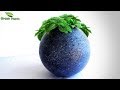 Modern Cement Ball Planter at Home | Best Cement Tree pot Idea//GREEN PLANTS