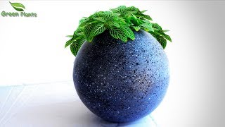 Modern Cement Ball Planter at Home | Best Cement Tree pot Idea | Easy Planter Ideas//GREEN PLANTS