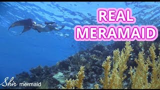 Real Mermaid Spotted Details