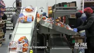Orange Welded Net Packing Line with Daumar CB 148 and NEWTEC 4014XB1