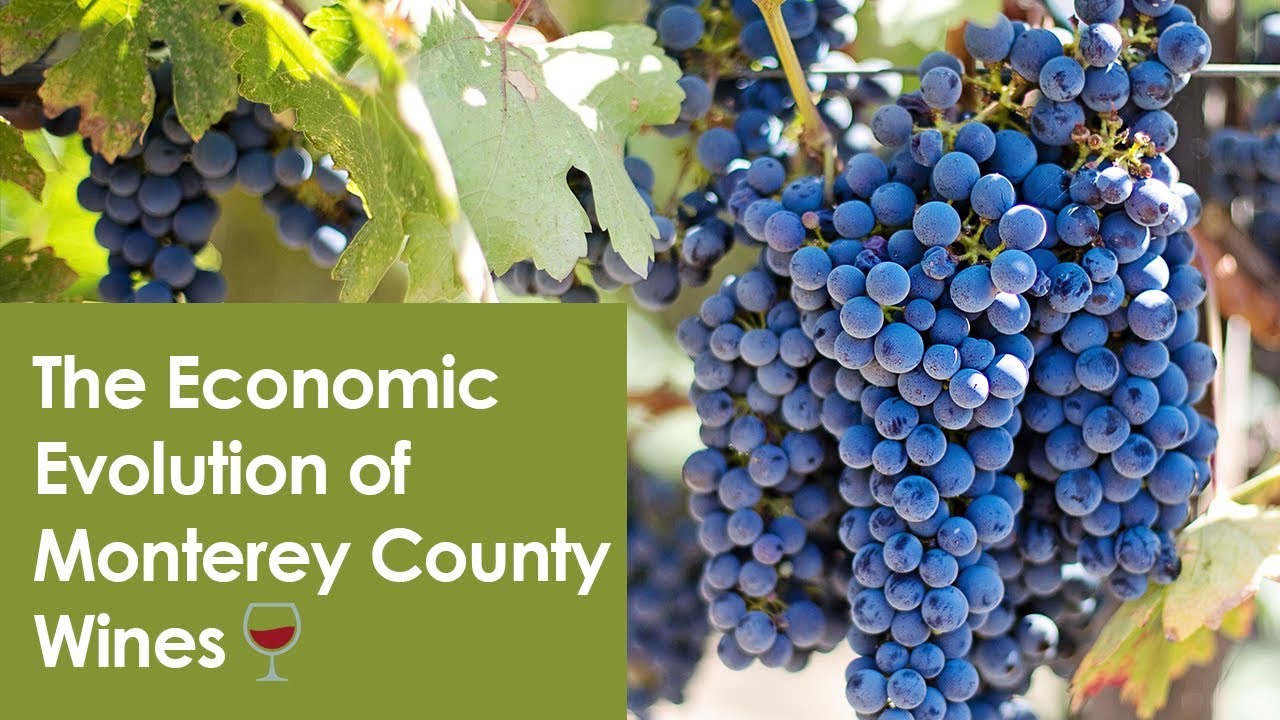 The Economic Evolution of Monterey County Wines