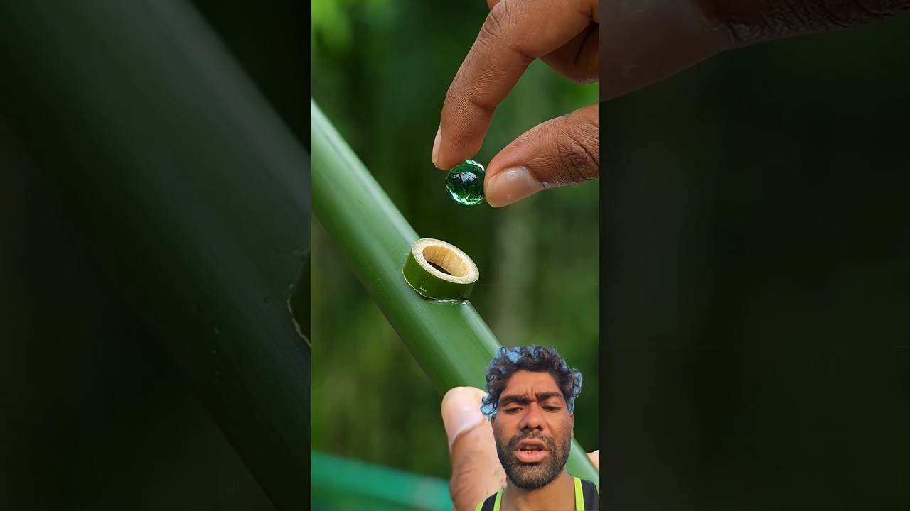 Creative Bamboo toy Design with Bamboo Creations 