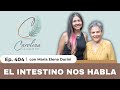 404 intestino sano  salud  mara elena durini