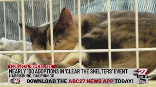Success! Nearly 100 adoptions in Harrisburg 'Clear The Shelters' event