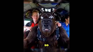 part 1 Black Yeti’s Epic Skydive Challenge | Adventure Vlog#BlackYeti #Skydiving #YetiAdventure