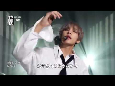 【歌詞/掛け声/ダンス】'DNA'japanese ver. BTS(防弾少年団)