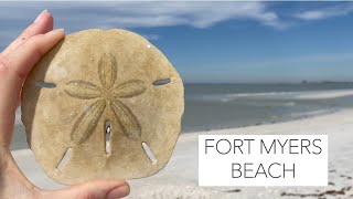 Fort Myers Beach walking tour. What's on the beach at low tide?