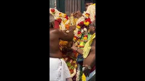 மாங்கள்ய தாரணம் திருகல்யாண வைபவம் | அருள்மிகு வெள்ளீசுவரர் திருக்கோவில்.