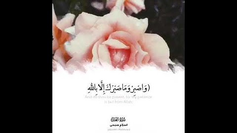 #حالات #واتساب #دينيه تلاوة خاشعة القرأن الكريم بصوت جميل جدا الشيخ اسلام صبحي