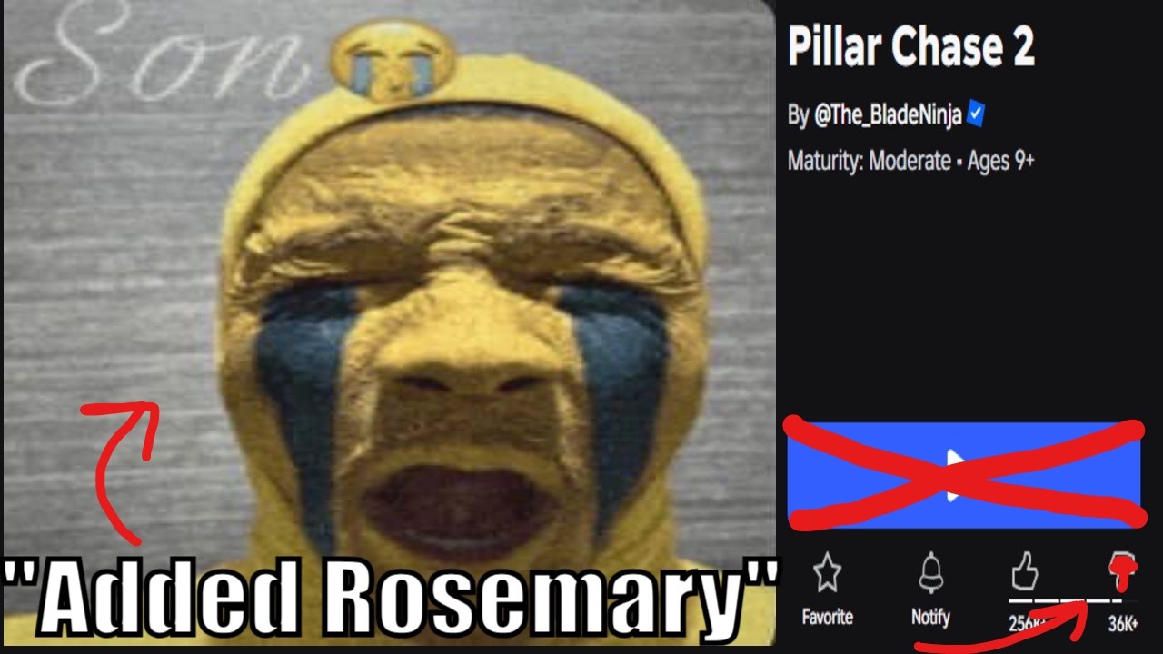 Pillar Chase 2 Players are STUPID