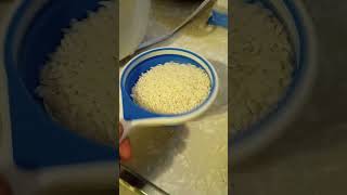 How to use Proctor Silex rice cooker. 20 dollar rice cooker.