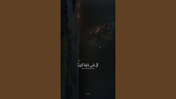 ياعبادي الذين آمنوا إن أرضي واسعة فإياي فاعبدون🍃سورة العنكبوت🍃تلاوةخاشعة🍃عبدالرحمن مسعد