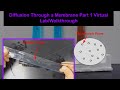 Membrane Diffusion and Indicator Reactions in a Virtual Lab