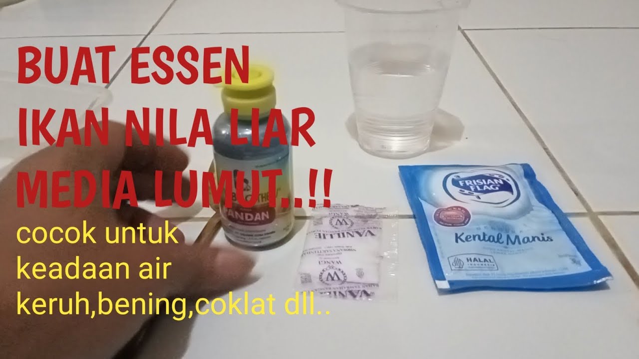 CARA MEMBUAT ESSEN LUMUT UNTUK IKAN NILA LIAR/KOLAM @Cing Mancing kuyy