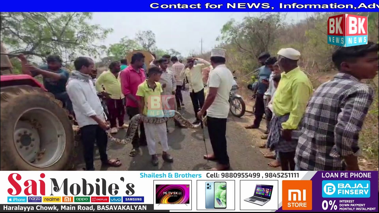 2 Ajgar Saap ko Shurakshit Pakad liya Gaya : Nindoli Village Basavakalyan/BK NEWS BASAVAKALYAN